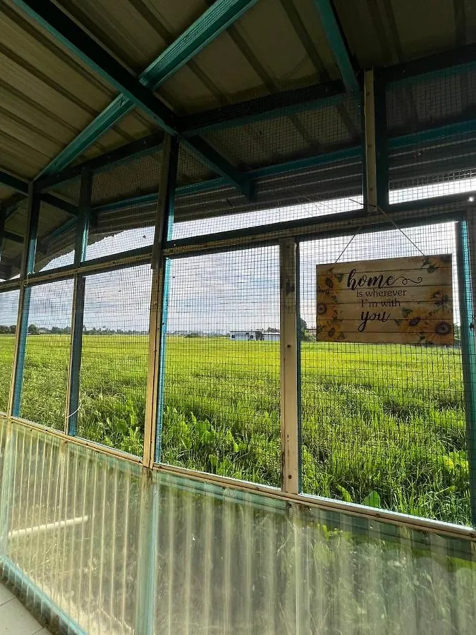 Holiday home Homestay Kasih Alza -Ada 2 Unit - View Sawah Padi , Private Pool -Prefer Direct Booking- Malacca